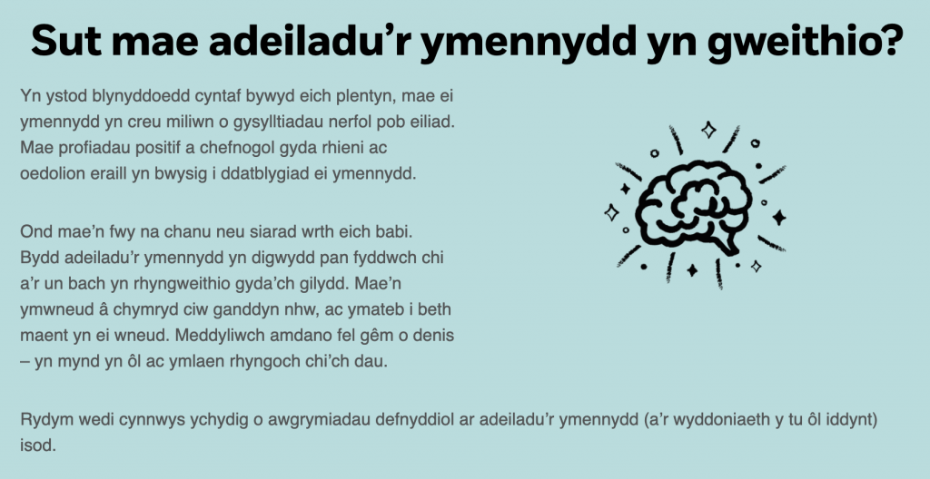 Sut mae adeiladu’r ymennydd yn gweithio?