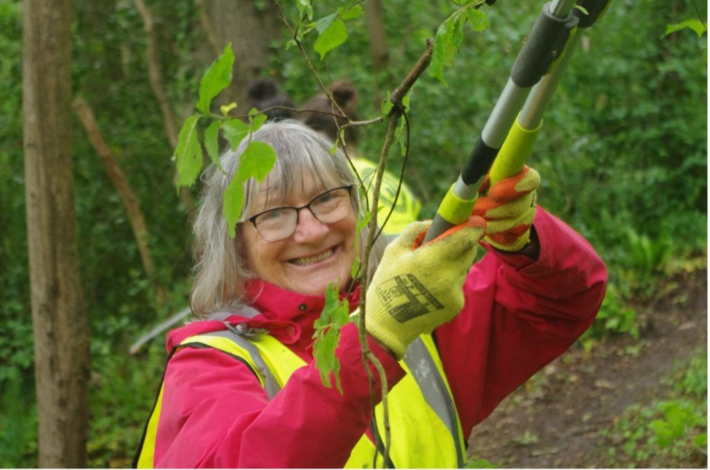 Volunteer gardening