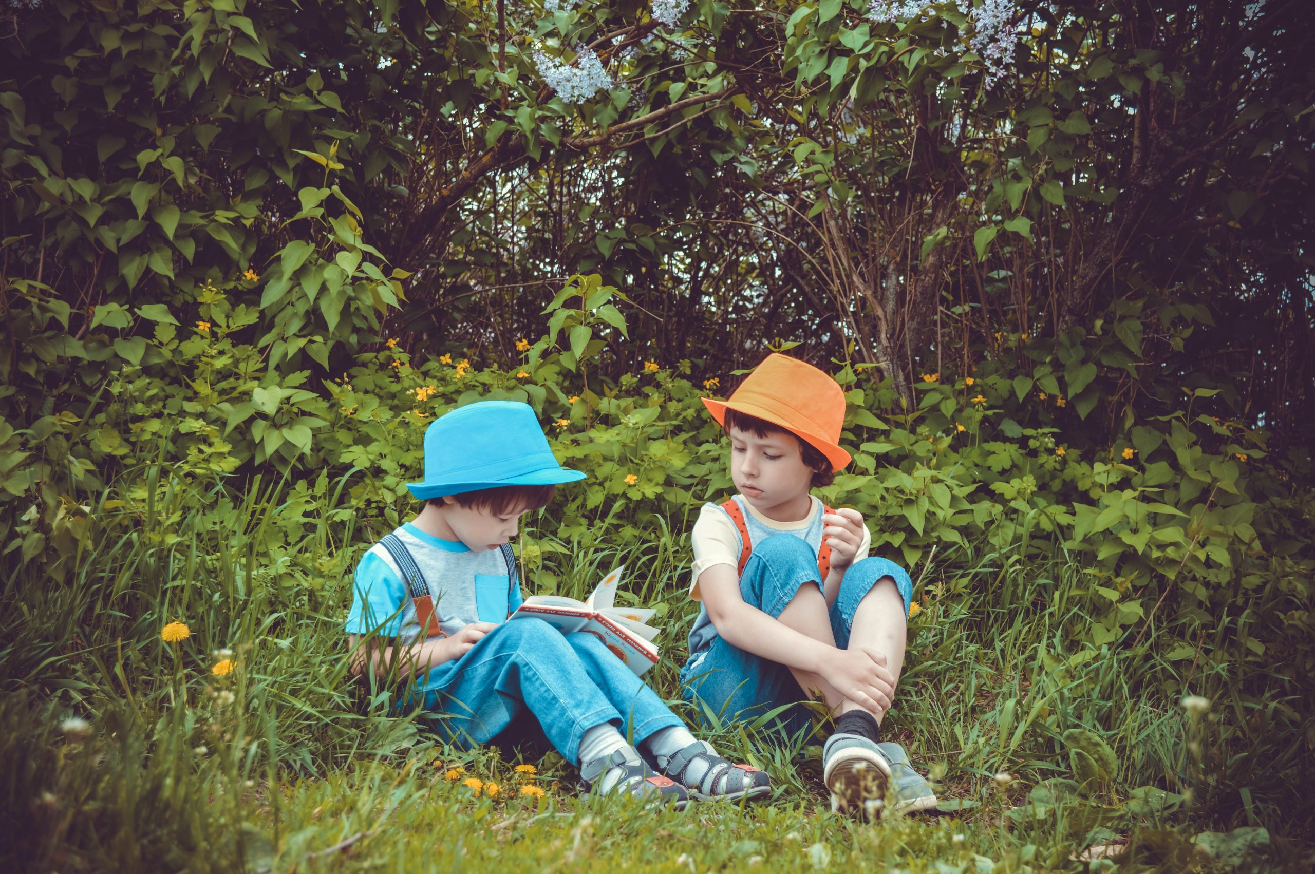 Children reading a book