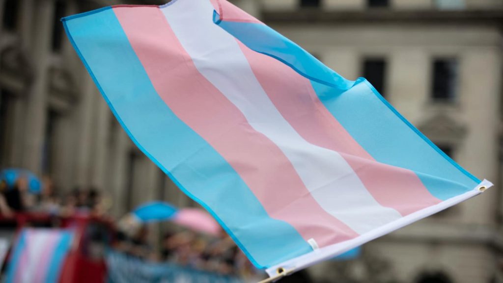 Transgender flag
