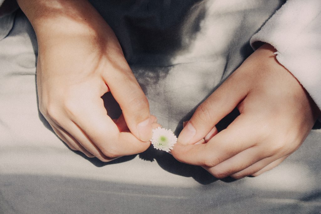 Hands holding a little flower
