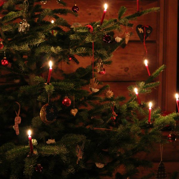 The Cardiff Christmas Dinner 2025