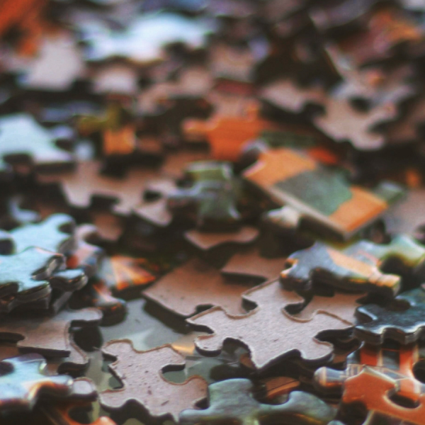 Jumping hurdles and appearing above the parapet: Navigating interagency working to support people experiencing self-neglect