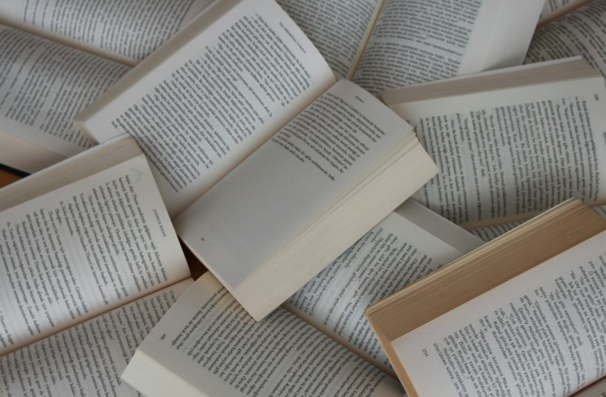 Cyhoeddi Deunydd Ffeithiol ar Gyfer y Darllenydd Cyffredinol