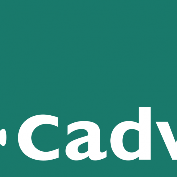 Cymorth ariannol Cadw ar gyfer cludiant i ymweliadau ysgolion â safleoedd Cadw