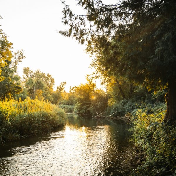 Step Outside: Outdoor Learning Made Easy